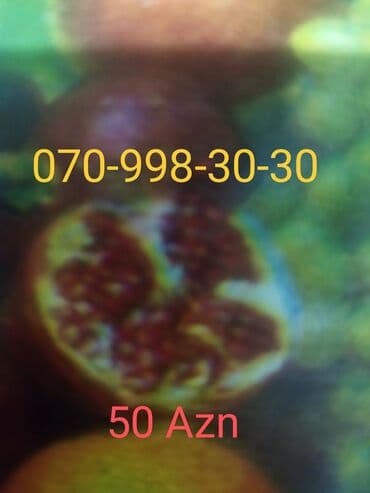 Nömrə: ( 070 ) ( 9983030 ), İşlənmiş lalafo.az -da Nömrə: ( 070 ) ( 9983030 ), İşlənmiş