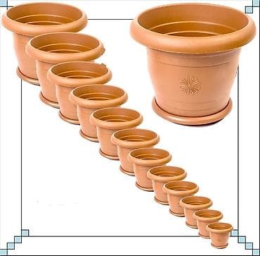 Buket güllər: Məhsul: Plastik gül qabları dəsti (bir neçə ölçü) Təsvir: - Klassik — 1