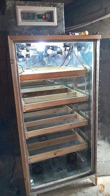 Оборудование для производства: Inkibator satılır 800 yumurta tutur 700 manata deyilir asaqi yeri var — 3