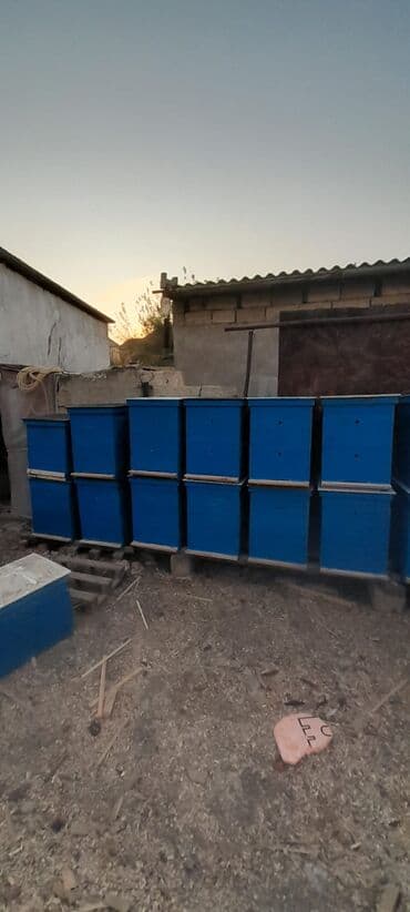 Toyuqlar: Arı pətəyi korpusları – çoxmərtəbəli, taxta konstruksiya - Material — 2