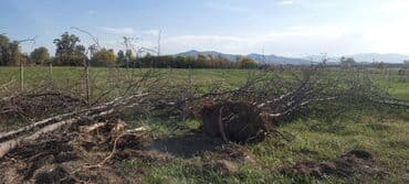 lalafo долгосрочная аренда квартир: 15 соток, Для сельского хозяйства — 5