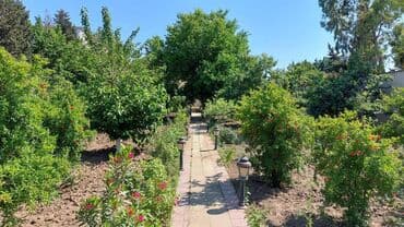 купить дачу в мардакянах: Баку, Новханы, 310 м², 6 комнат, С бассейном, Газ, Комби, Канализация — 13