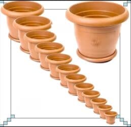 kaybolan yıllar 50: Dibcek Dibcek qabi yumru aq rengli gul.qabi yumru aq rengli dibcek — 27