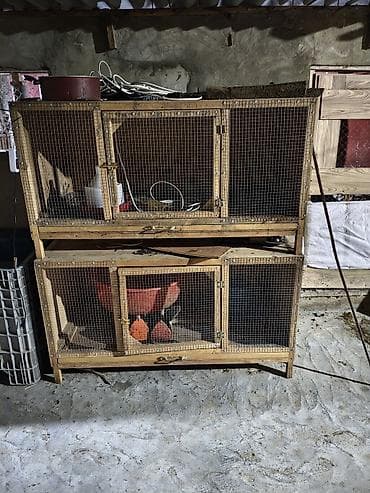 qəfəslər: İki mərtəbəli taxta qəfəs – quş və ya kiçik heyvan saxlanışı üçün - — 8