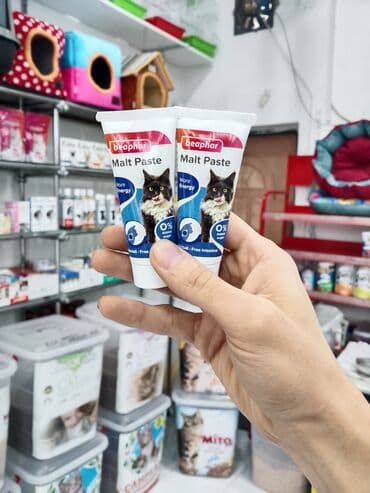 домик для кошек: Zoo mallar — 10