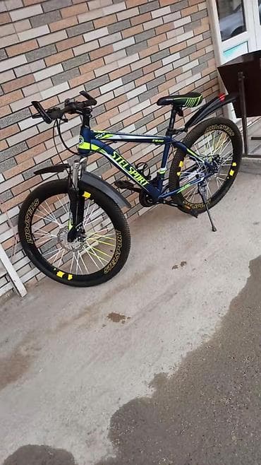 STELSPORT T910 dağ velosipedi - Çərçivə: yüngül ərintidən, idman