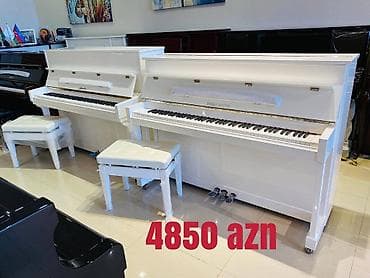 gitara satilir: Liderlik tarixi digər Uzaq Şərqdəki fabrikaların yaranma tarixi qədər — 1