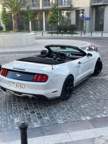 gence lenkeran avtobus: Toy, Nişan və digər tədbirlər üçün sifariş edə bilərsiz. ( Qiymət — 8