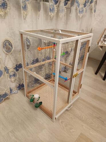 ag dovsan: Papuqay,dovşan,hamster,şinşila,bildirçin,cücə,xamyak,pişik,quş,tısbağa — 5