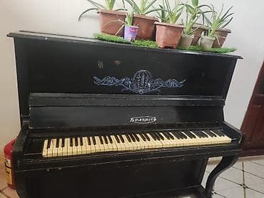 dicey aparatı: Piano, Belarus, Akustik, Ünvandan götürmə — 1