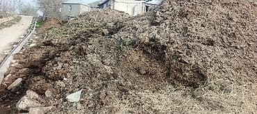 Təbii üzvi gübrə – mal peyini - Bitkiçilik və bağçılıq üçün yüksək