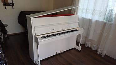 Музыкальные инструменты: Ağ rəngli akustik piano – upright (şaquli) modellə Xüsusiyyətlər: - — 3