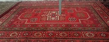 ceyran dərisi: Xalça — 1