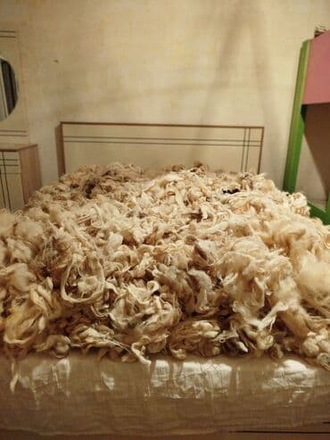 Opel: Təbii qoyun yunı – xam material - Tərkib: təbii, yuyulmamış/xam qoyun — 1