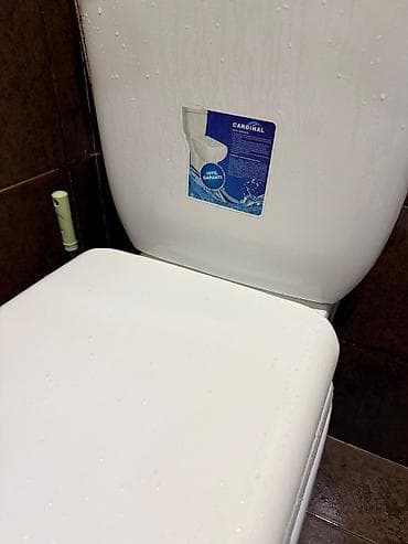 kabab sisi: Unitaz – Cardinal model - Döşənən (floor-mounted) ikiqat-komponentli — 4