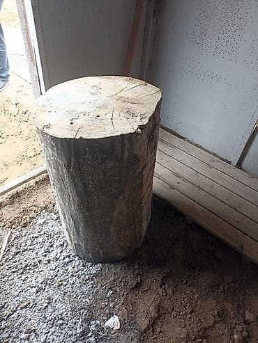 Ağac kötüyü – iri ölçülü - Material: bərk ağac gövdəsi (təbii ağac