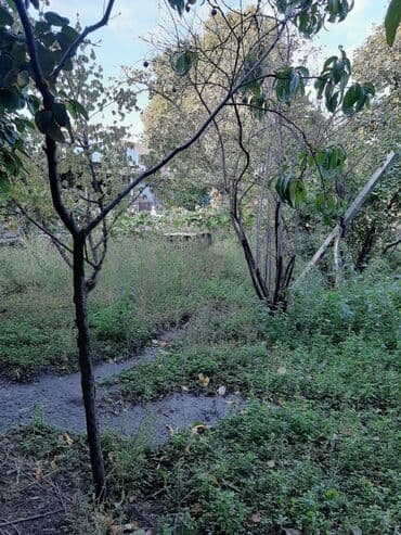 torpağ sahesi: 7 sot, Tikinti, Makler, Kupça (Çıxarış) — 10