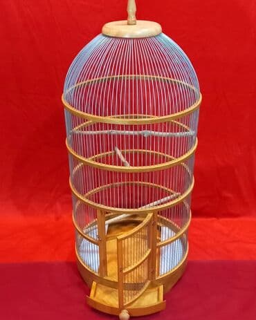 quş qəfəsi qiymətləri: Qefes Taxta qefes yenidi Qiymeti - 250 azn Ölculeri Diametri - 49sm — 3