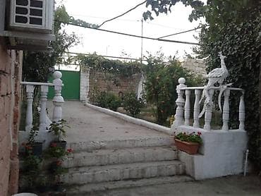 6 sot, Biznes üçün, Mülkiyyətçi, Kupça (Çıxarış) — 6