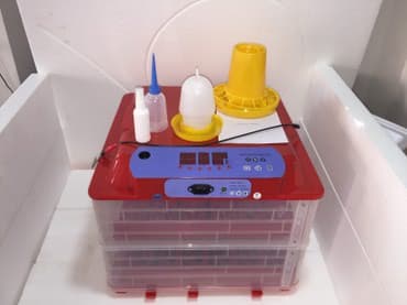 Süd sağan aparatlar: 50 yumurta, Çin, Fabrik istehsalı, Tam avtomat, Bütün növ quşlaq üçün — 2