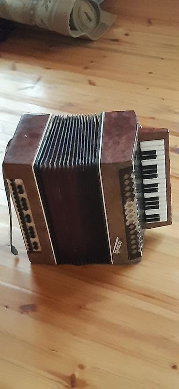 Velosiped aksesuarları: Akustik Akkordeon — 2