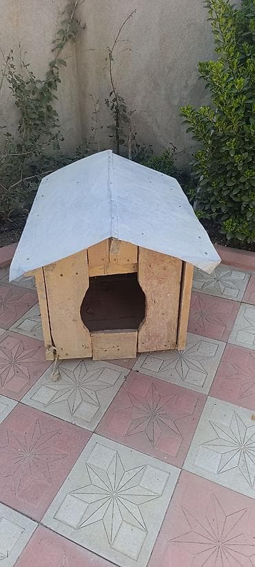 It yuvası. qalın taxtalardan hazırlanıb. ünvan qaraçuxur lalafo.az -da It yuvası. qalın taxtalardan hazırlanıb. ünvan qaraçuxur