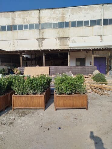 Taxta dipçəklər Bir başa sexdən. Sex qiymətinə.Endirim 2026 ♦️Hazır lalafo.az -da Taxta dipçəklər Bir başa sexdən. Sex qiymətinə.Endirim 2026 ♦️Hazır