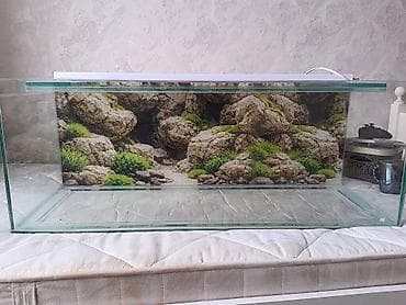 yumru akvariumlar: Dördbucaq akvarium, Boş, 160 l, Pulsuz çatdırılma — 3