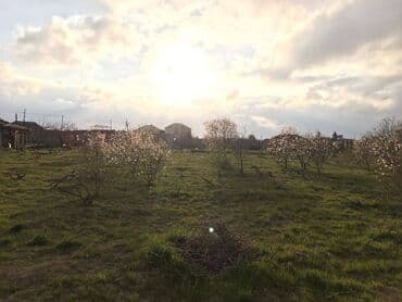 ist petrol tbilisi prospekti: 25 sot, Tikinti, Makler, Kupça (Çıxarış) — 7