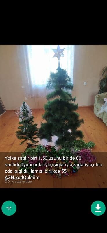 xurma ağacı: Yolkalar şaxda baba sekillerde qiymət məlumat qeyd olunub unvan Gence — 14