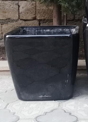 heserat yeyen bitkiler: 40×40 Ağ 4 dene -40×40 Qırmızı 2 dene -40×40 Qara 1 dene — 1