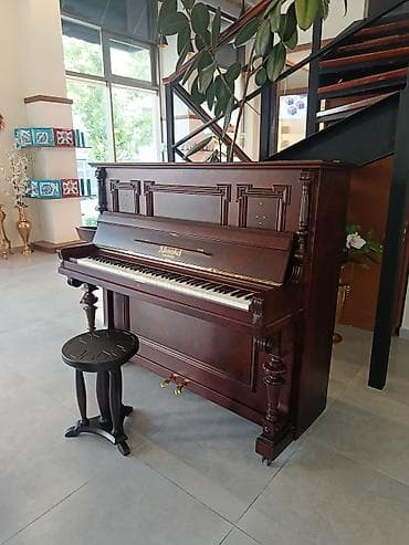 Музыкальные инструменты: Upright pianino – Rönisch Leipzig - Korpus: tünd qəhvəyi/qırmızı — 3