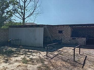 sumqayitda evler: 4 sot, Biznes üçün, Mülkiyyətçi — 8