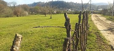 astara rayonu: Tikinti — 9