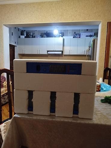 12v adapter: 128 yumurta tutumlu inkubator. 3 dəfə istifadə olunub 128 yumurtadan — 2