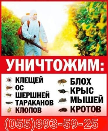 xalca yuma 1 50 azn 2023: Dezinfeksiya, dezinseksiya | Nəqliyyat — 5