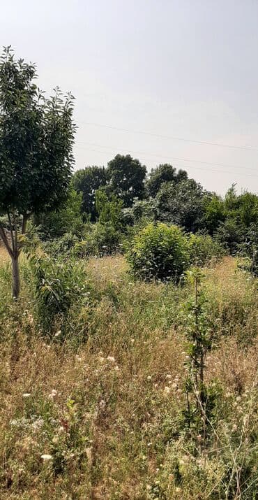купить землю в баку: Şəhərin kənarında, təbiətin qoynunda yerləşən bu torpaq sahəsi sakit — 1