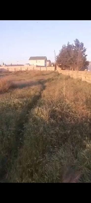 a farm evler: 15 sot, Tikinti, Kupça (Çıxarış) — 2