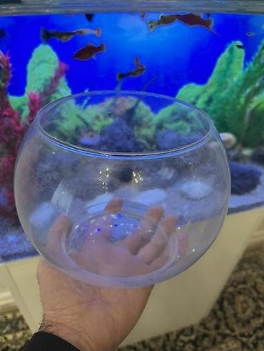 tap az ev itleri: Yumru akvarium, Boş, 3 l, Ödənişli çatdırılma — 1