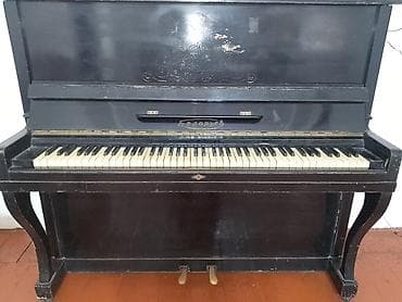 Piano, Belarus, Akustik, İşlənmiş, Ünvandan götürmə