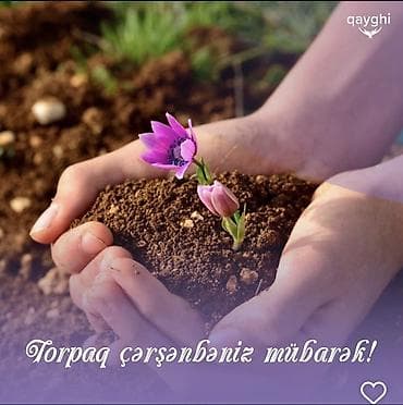 Mənzillər: Bakı, Yeni Yasamal, 2 otaqlı, Köhnə tikili, m. 20 Yanvar, 39 kv. m — 9