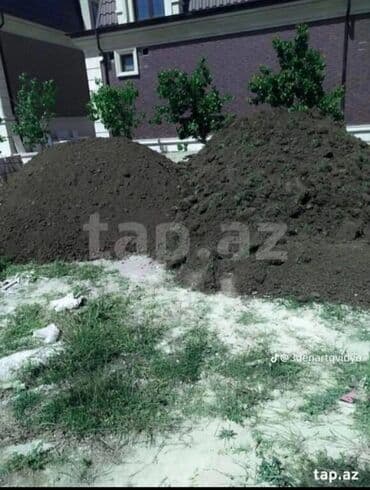 дрова для камина: Salam aleykum əziz qardaşlar,Şamaxı əzazisindən tam meşənin üst mümbit — 1