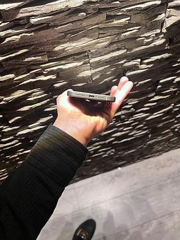 iphon 13 mini: IPhone 15 Pro Max, 256 GB, Gümüşü — 3