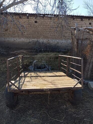 toyuq cuce satisi: Satlir top kimi yungul harava 150 m cuzi endirim olcaq — 3