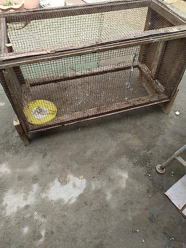 danisan quslar: Taxta karkaslı, metal torlu böyük quş qəfəsi - Material: bərk taxta — 1