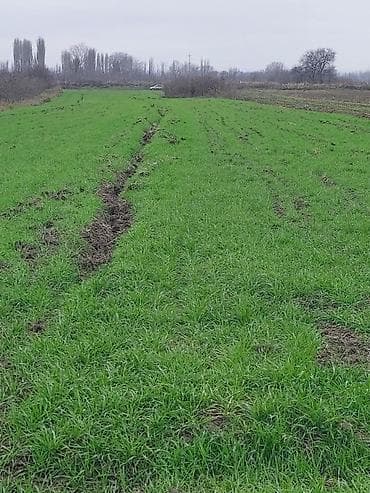 bolt hansi masinlari qebul edir: 150 sot, Biznes üçün, Barter mümkündür, Kupça (Çıxarış) — 2