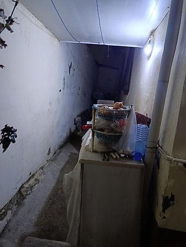 nermanovda kiraye ev: 1 otaqlı həyət evi (studiyaya yaxın planlama) - Otaq: geniş — 9