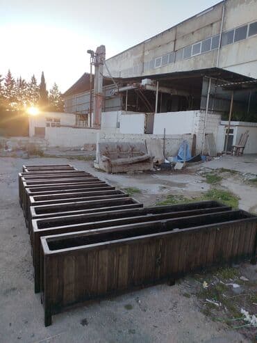 bitkiler: Dibçək güldanlar. Dipçəklər bir başa sexdən.Sex qiymətinə. ♦️Endrim — 8