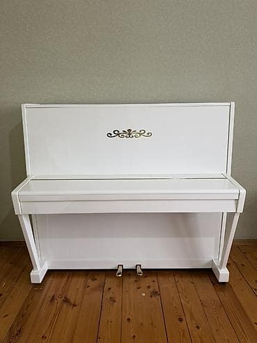 piano 250: Piano, Belarus, Akustik — 4