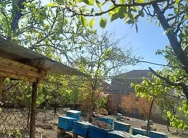 ipotekada olan menzillerin satisi: Binəqədi qəsəbəside yerləşən 8 sot torpaq sahəsi satışa çıxarılıb — 3